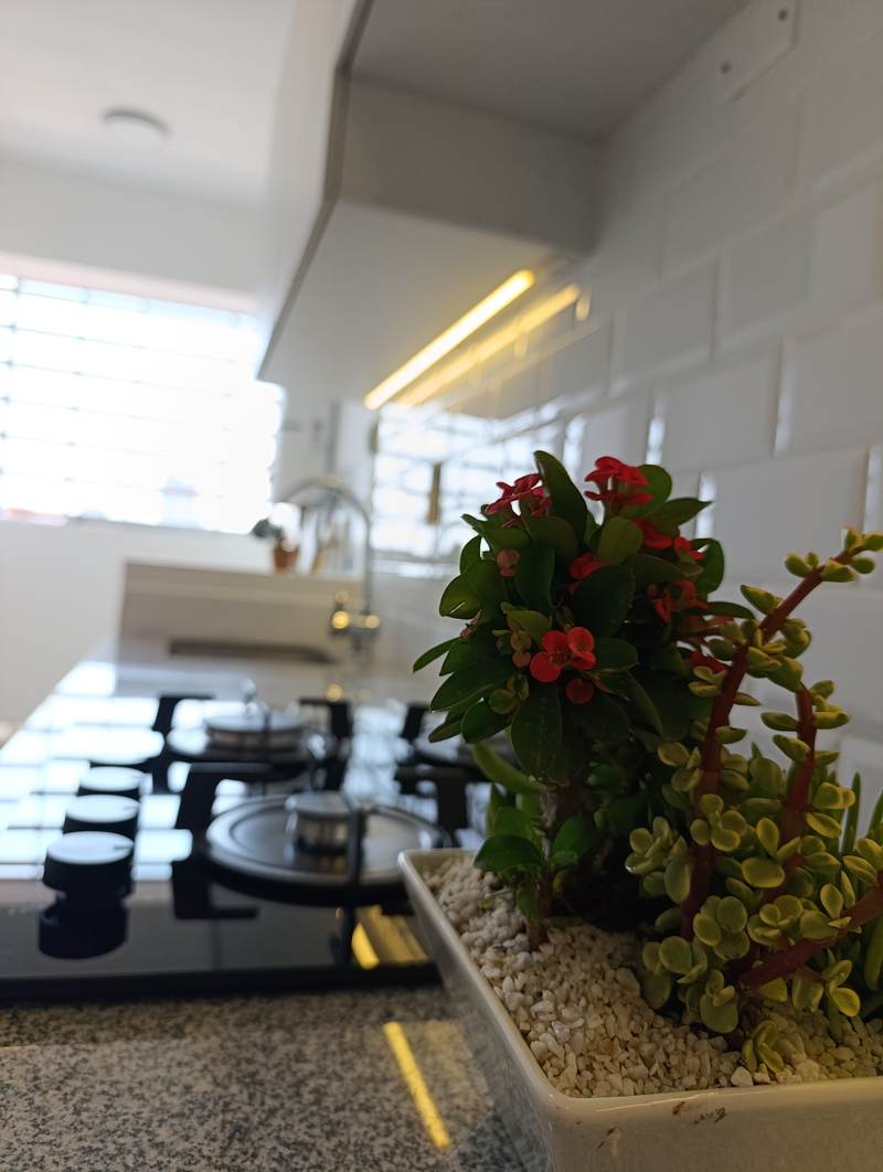 Sucre cocina detalle
